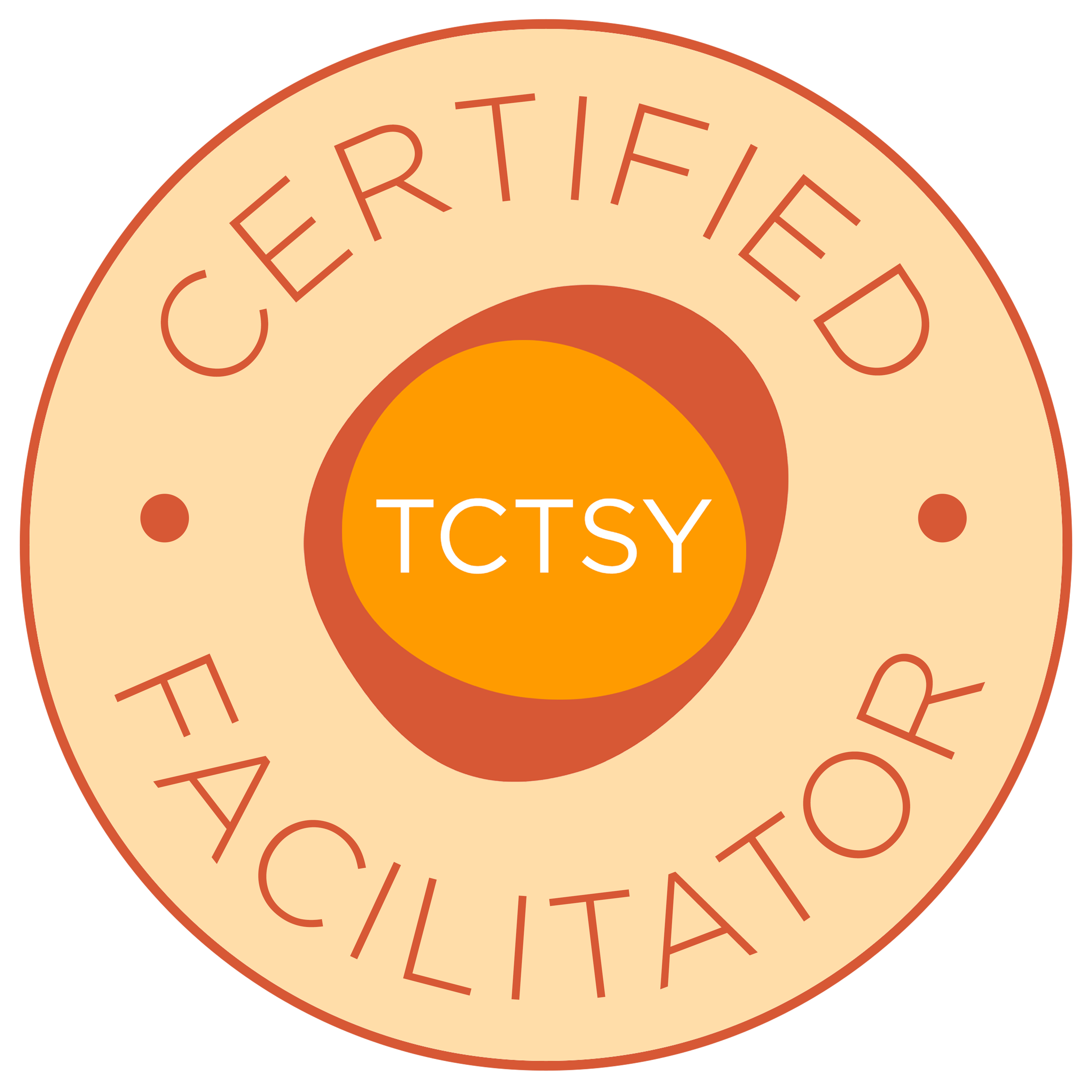 TCTSY Certified Facilitator